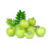 आंवला (Indian Gooseberry)