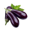 बैंगन (Long Brinjal)